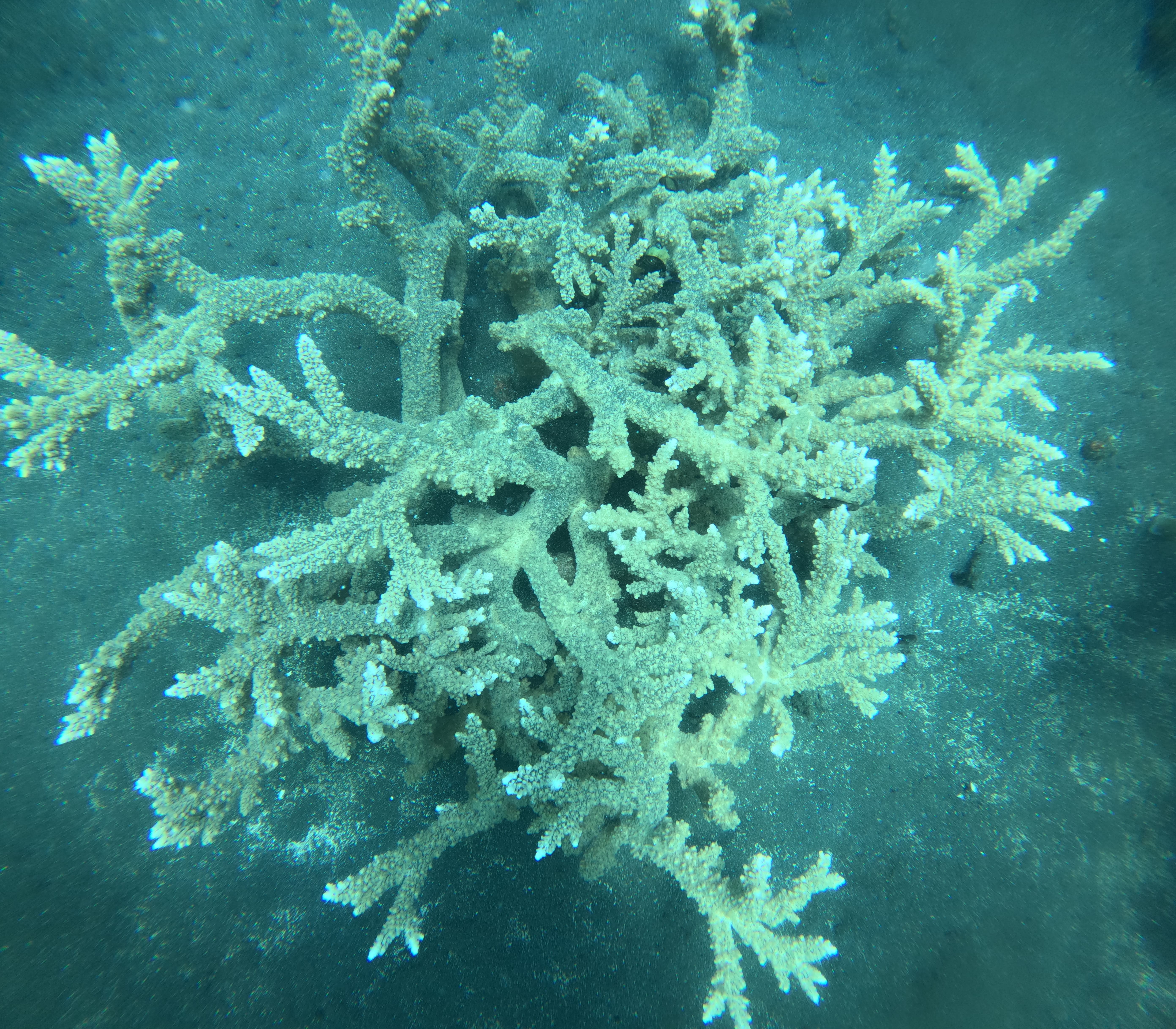 Underwater Panorama 4