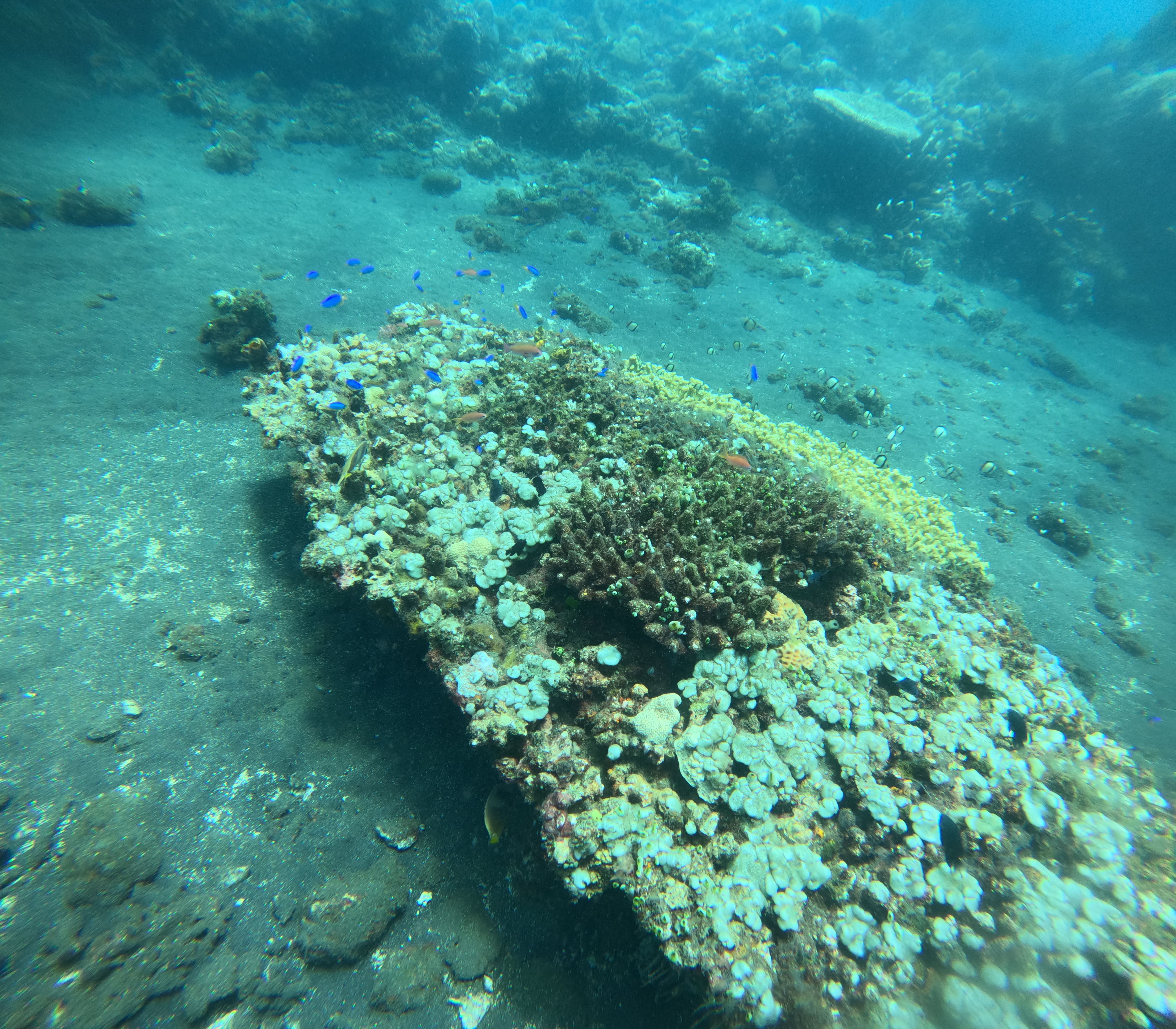 Underwater Panorama 5